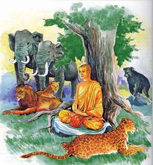 Spiritual wisdom moments