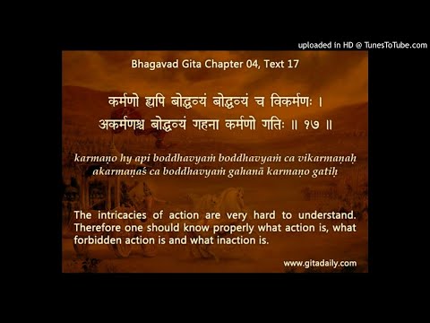 Focusing only on suffering's immediate cause makes us short-sighted focusing only on suffering's re